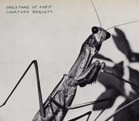 Courtney Barnett - Creature Of Habit