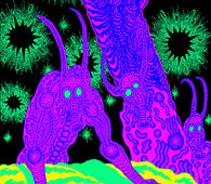 OSEES - Abomination Revealed At Last