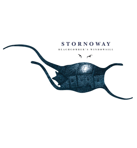 Stornoway - Beachcomber's Windowsill (Dinked Archive Edition 15) - SOLD OUT