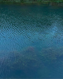 Andrew Rumsey - Blank Arcades