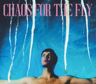 Grian Chatten - Chaos For The Fly