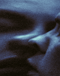 Puma Blue - Croak Dream