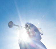 Geese - Getting Killed