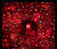 Iron & Wine - Hen's Teeth