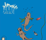 J Mascis - What Do We Do Now