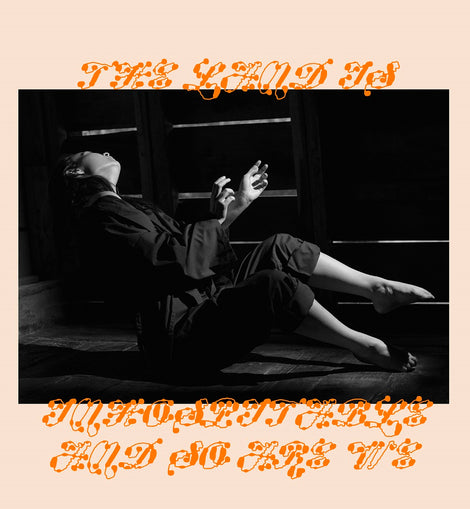 Mitski - The Land is Inhospitable and So Are We