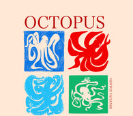 Newton Faulkner - OCTOPUS