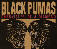 Black Pumas - Chronicles of a Diamond