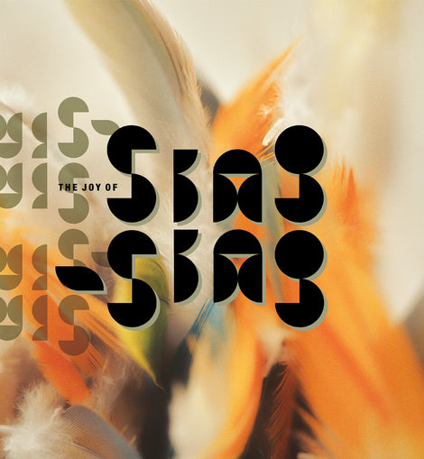 Sing-Sing - The Joy Of Sing-Sing