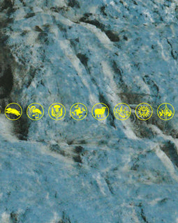 LIFE - ABSTRACT / NATURAL