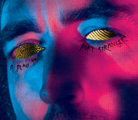 A Place To Bury Strangers - See Through You