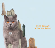 Brian Jonestown Massacre - Fire Doesn't Grow On Trees