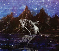 David Gray - Skellig