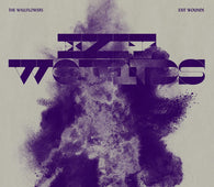 The Wallflowers - Exit Wounds