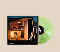 IDLES - CRAWLER