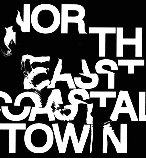 LIFE - North East Coastal Town