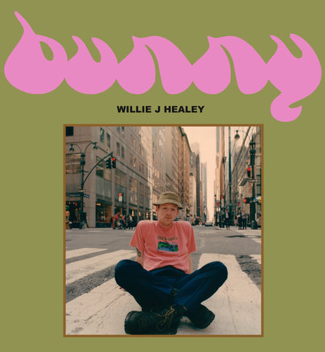 Willie J Healey - Bunny