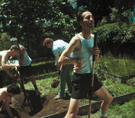 Marlon Williams - My Boy