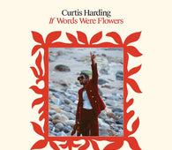 Curtis Harding - If Words Were Flowers