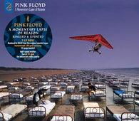 Pink Floyd - A Momentary Lapse Of Reason Remixed & Updated